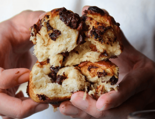 Most Amazing Fluffy Chocolate Chip Milk Buns Recipe